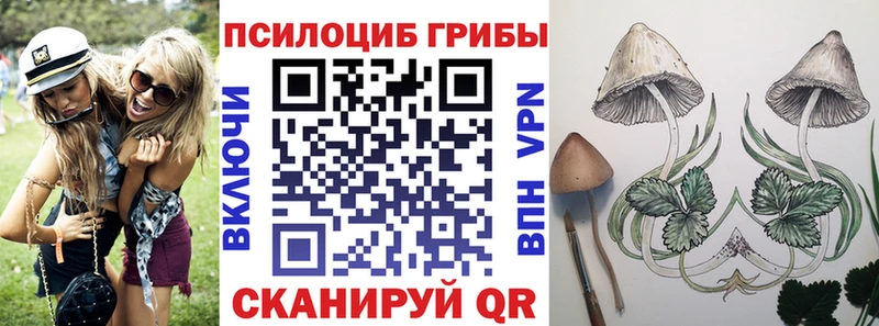Псилоцибиновые грибы MAGIC MUSHROOMS  Медынь 